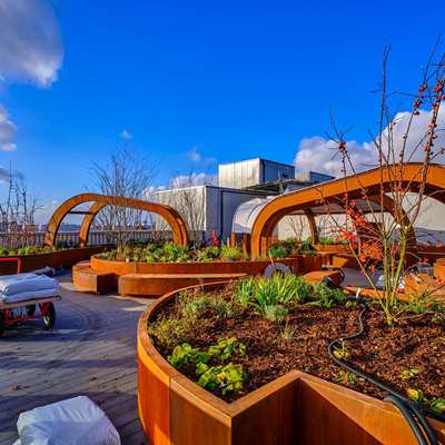 Critical Care Unit Rooftop Garden
